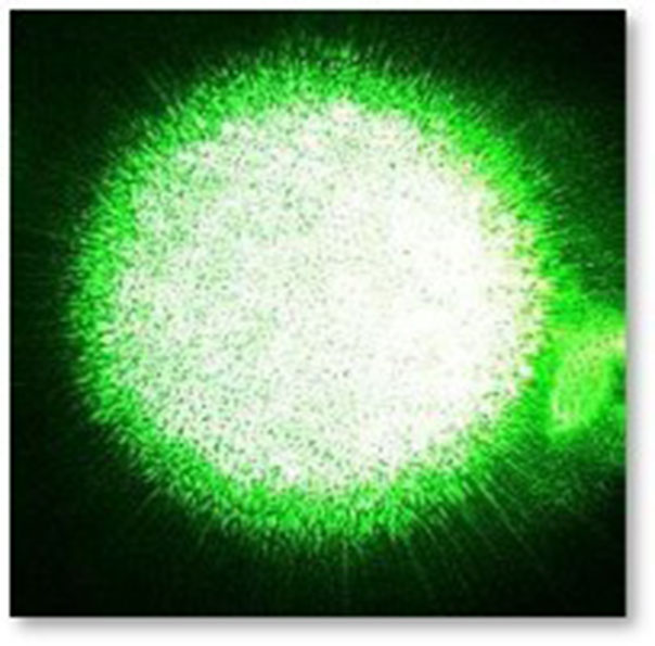 Image-speckle.jpg